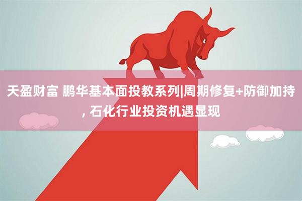 天盈财富 鹏华基本面投教系列|周期修复+防御加持, 石化行业投资机遇显现