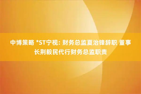 中博策略 *ST宁视: 财务总监夏治锋辞职 董事长荆毅民代行财务总监职责